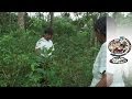 Cocaine Factories - Bolivia