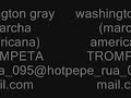washington gray