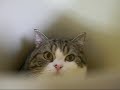 <br />
<b>Warning</b>:  htmlspecialchars() expects parameter 1 to be string, array given in <b>/home/videosq/public_html/templates/2/index.php</b> on line <b>297</b><br />
