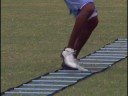 The 70 Best Quickfoot Ladder Drills The 70 Best Quickfoot Ladder Drills