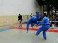 Vovinam Viet Vo Dao - Ciseaux Don Chan  Les Lilas Juin 2007