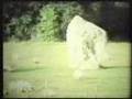 Avebury