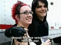 My Chem Diary 3 warped tour