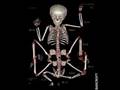 bizarre X-Ray pics