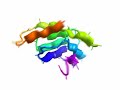PDB 1ten protein folding PDB 1ten protein folding