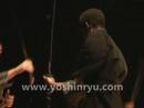 Yoshin Ryu 1998-2008