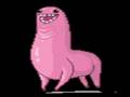 videos de Bunchie_0002.wmv