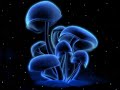 Cpu - Eclipsed - free flv video @ vwatch.tv