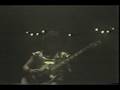 Blue Oyster Cult Live 1981: Born To Be Wild