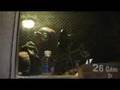 freestyle 26 gang alkapote neoklash
