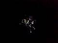 fuochi d' artificio-rollin' Limp Bizkit