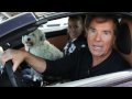 Herb Chambers Cars and Coffee