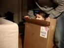 Luca in Another Package Luca in Another Package