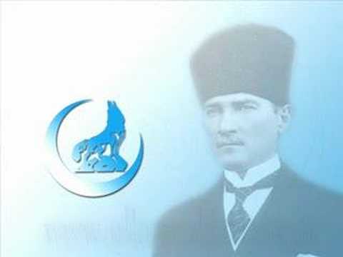 tilki