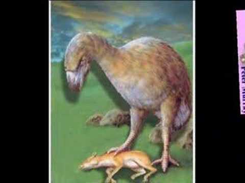 Giants From Earth's Past