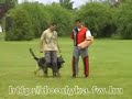 German shepherd, protection, Schutzhund, IPO 3, Rocco