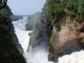 videos de Highlights of Uganda Safari