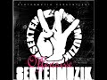 Sektenmuzik Offensive
