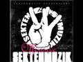 Sektenmuzik Offensive