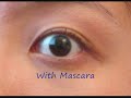 Maybelline Define-A-Lash Review for Asian Eyes Maybelline Define-A-Lash Review for Asian Eyes