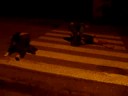 Wypadek Klepary-Murzynno G-DasS & Bajan Ovca Camer