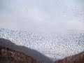 tarma   chanchamayo  parte 1 