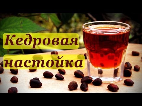 Настойка из кедровых орехов на водке