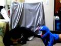Whats Up People Maximum The Hormone (Mood Swing Sockaraoke)