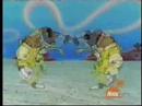 Spong POP