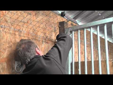 how to get rid birds