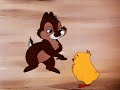 Chip And Dale - Chicken in the Rough ( AUDIO LATINO )