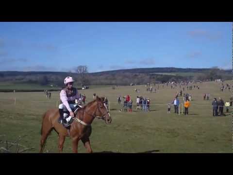 racing results cheltenham