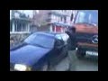 arber-ibrajabibesnik-gashipolici-i-pejesha.html