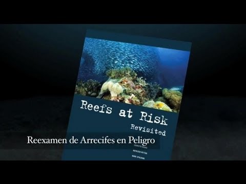Imagen de previsualización de YouTube