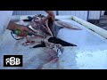 World's Fastest Halibut Skinner