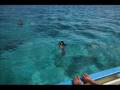 Day sailing in Antigua with www.adventureantigua.com