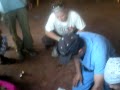 Fighting Malaria Fever