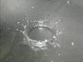 videos de AGUA - BLUE KING BROWN