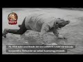 SVT: CHTV - Kollektiv idrott