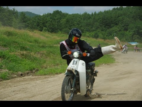 動画