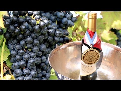 how to grow grapes in nj