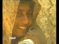 Vital Signs - sanwali saloni