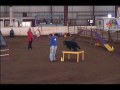 Kidder Mt Hood Dobe AKC Nov09.wmv