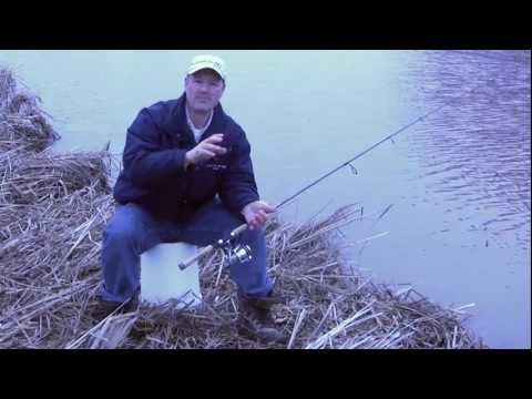 How to Fish for Bullhead Catfish - Tips and Techniques