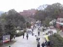 GT Skiles Walkway Freeze