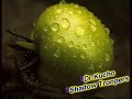 Dr.Kucho - Shadow Troopers Dr.Kucho - Shadow Troopers