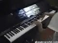 Crazy super mario piano guy