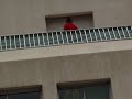 spionaggio