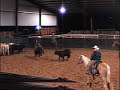 Peptos Rapper Minime 2003 bay stallion by PEPTOBOONSMAL