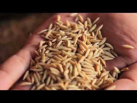 EP. 42 เรื่องราวดีๆ ของกระทรวงเกษตรและสหกรณ์